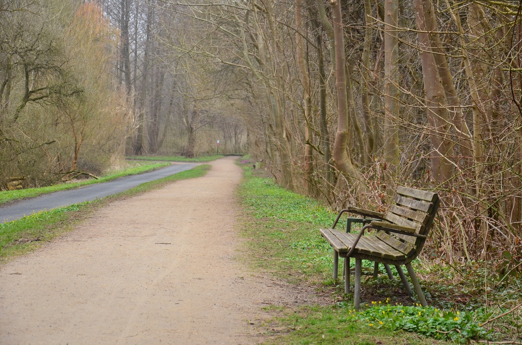 2018-04-14 Copenhagen/Utterslev Mose/DSC_0176.JPG